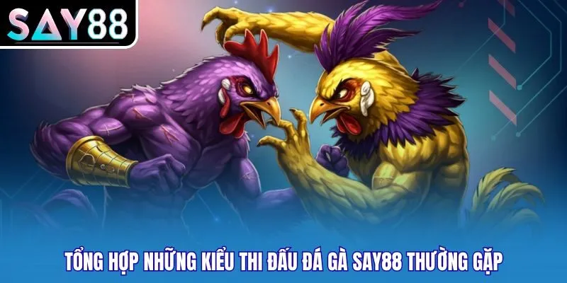 Đá Gà Say88 – Chuyên Mục Giải Trí Trực Tuyến HOT 2026